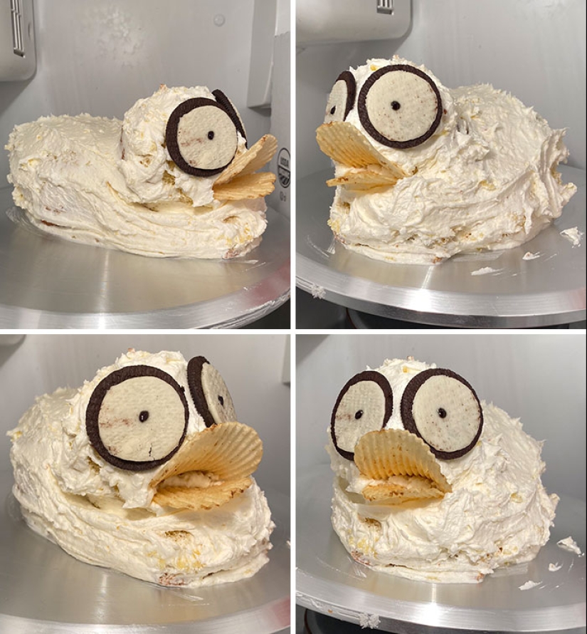 “Es mejor comer ese pastel antes de que te coma a ti”: 12 pasteles hilarantemente malos