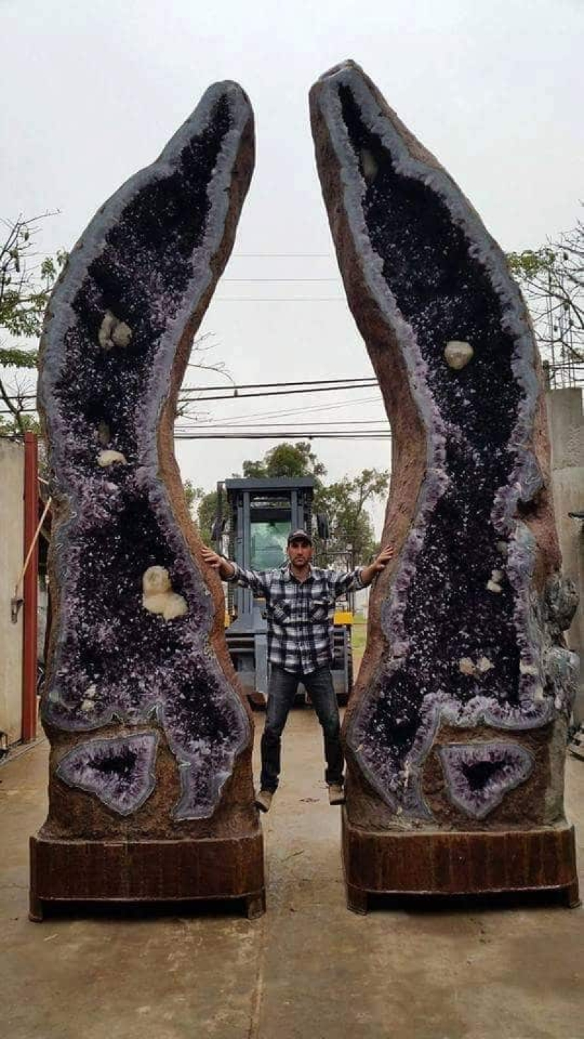 Ese es el tamaño! 22 fotos de cosas increíblemente enormes Ese es el tamaño! 22 fotos de cosas increíblemente enormes