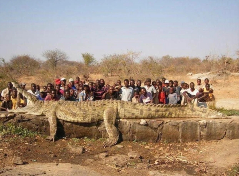 Ese es el tamaño! 22 fotos de cosas increíblemente enormes Ese es el tamaño! 22 fotos de cosas increíblemente enormes