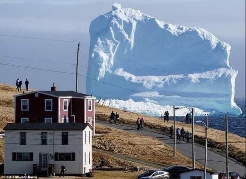 Ese es el tamaño! 22 fotos de cosas increíblemente enormes Ese es el tamaño! 22 fotos de cosas increíblemente enormes