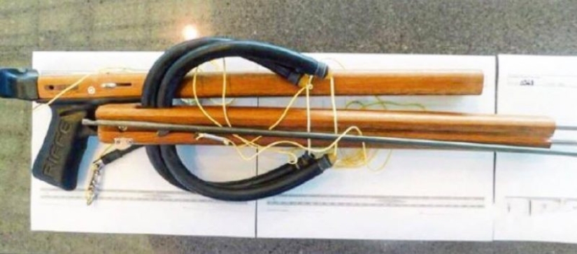 Esta colección de artículos incautados a los pasajeros aéreos por la TSA le alegrará el día