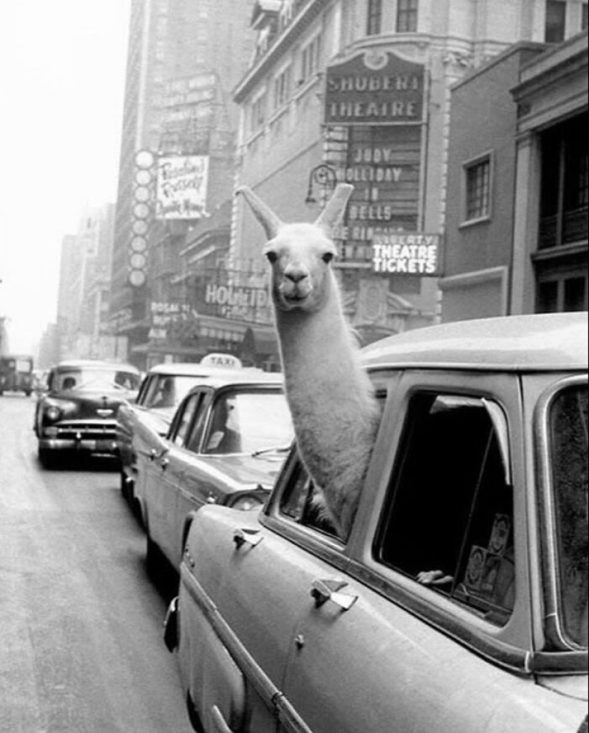Esta cuenta de Instagram presenta fotografías urbanas y aquí hay 12 de las mejores fotografías en blanco y negro