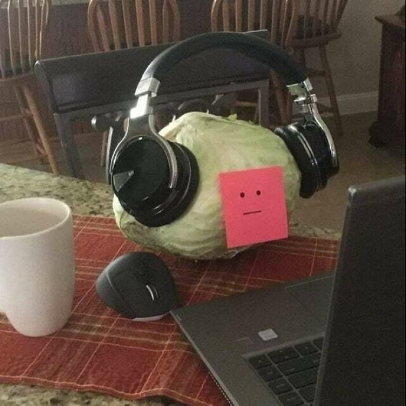 Esta página de Instagram comparte las fotos y los memes más malditos, y aquí están los 10 más picantes