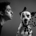 Estas son las 19 mejores fotografías de 2024, según los premios Dog Photography Awards Estas son las 19 mejores fotografías de 2024, según los premios Dog Photography Awards