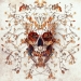 Este artista aporta un toque fresco y moderno al símbolo atemporal de la calavera Este artista aporta un toque fresco y moderno al símbolo atemporal de la calavera