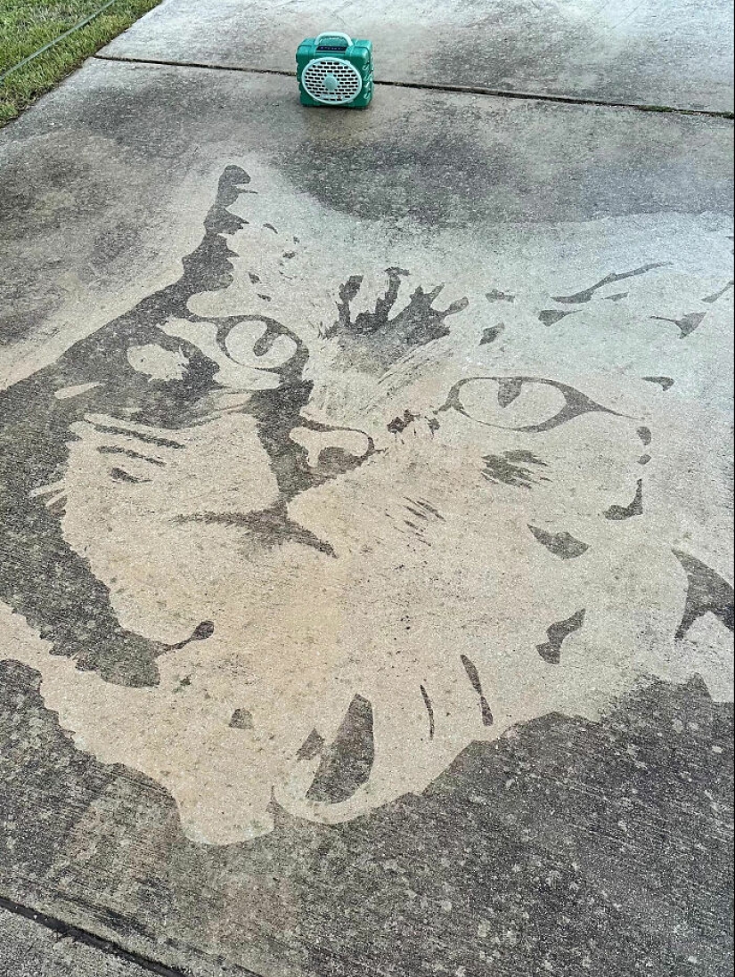 Este chico usó una lavadora a presión para crear arte en la calle, y aquí están sus 13 mejores obras
