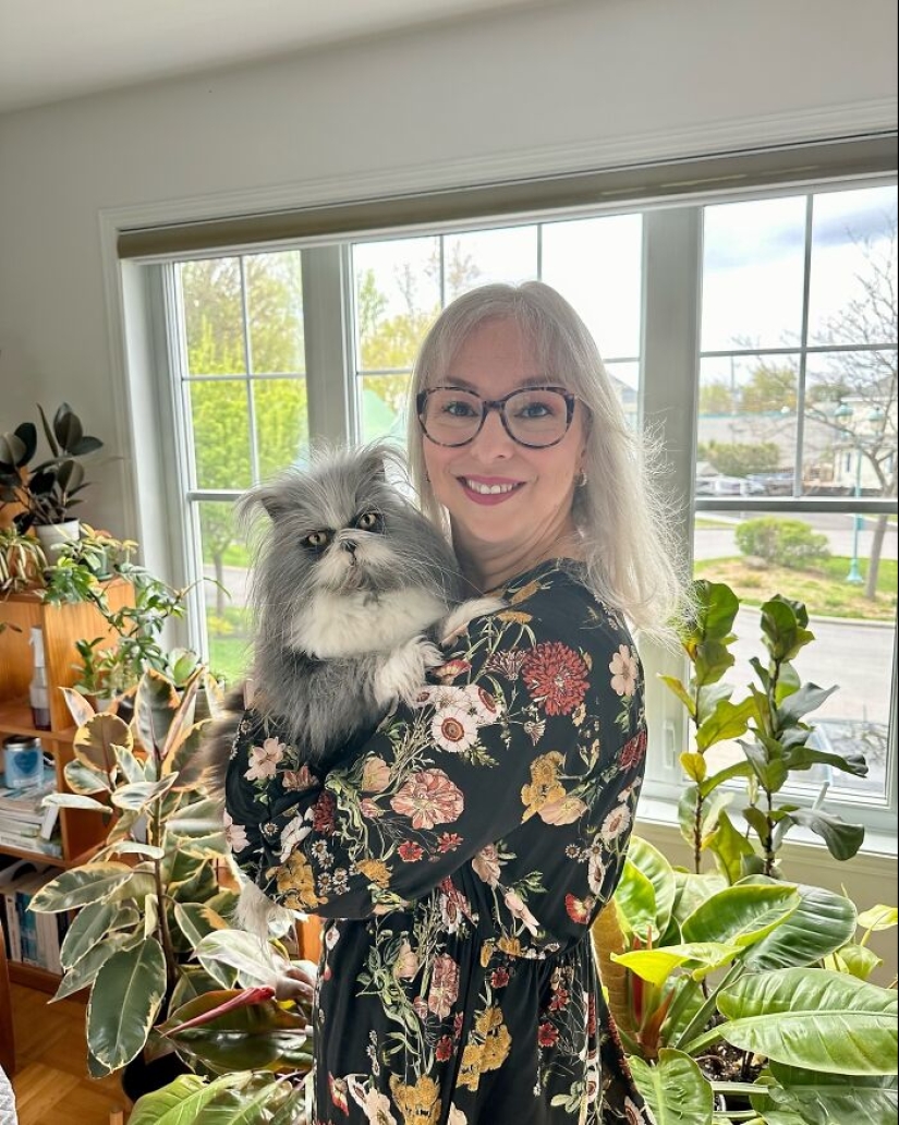 Este gato de apariencia única ha capturado los corazones de miles de personas en todo el mundo