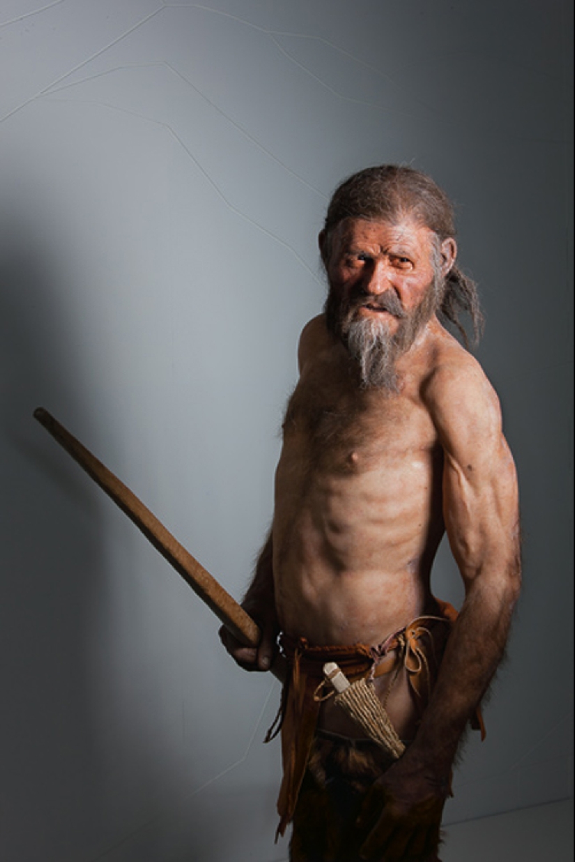 Etzi's "Ice Man" and his story