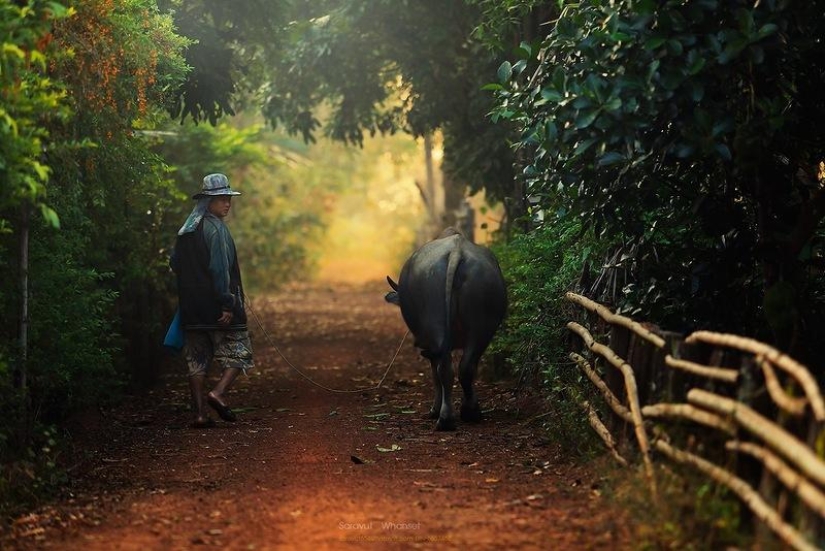 Fabulously beautiful Thailand in photographs by Sarawut Vanset