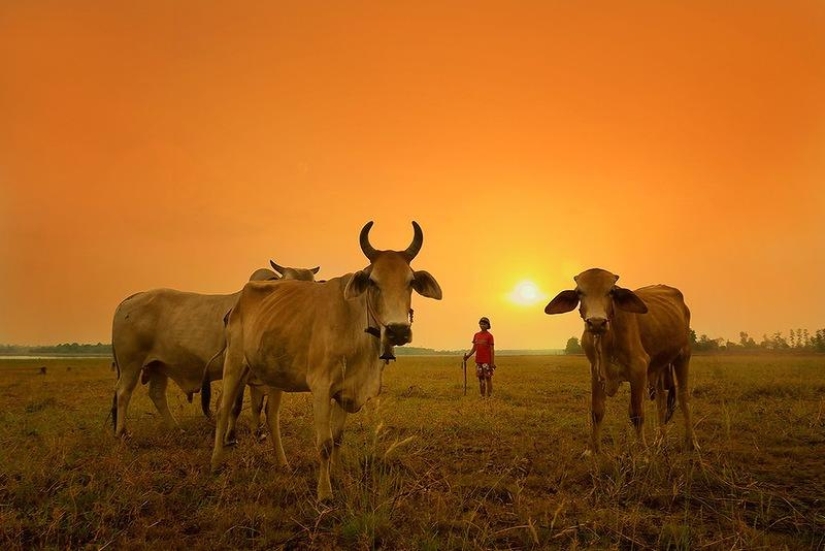 Fabulously beautiful Thailand in photographs by Sarawut Vanset