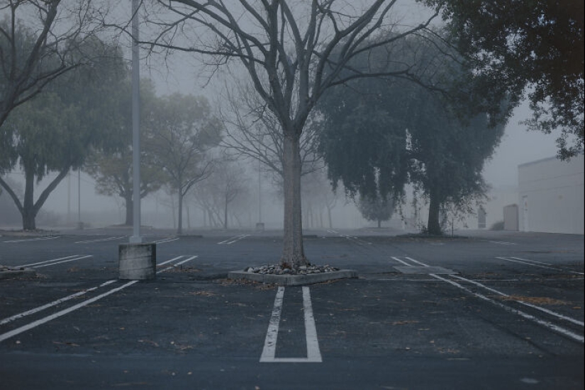 “Fading”: la poesía silenciosa de la desconexión suburbana por Mischa Lluch