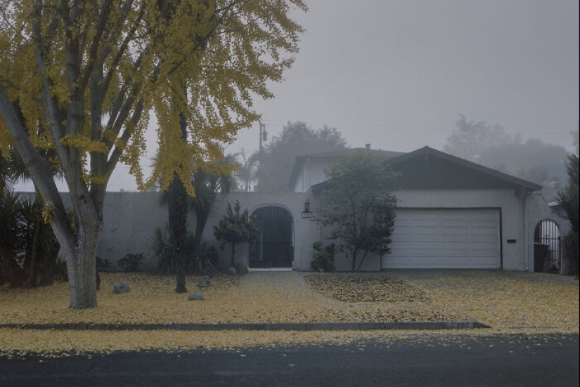 “Fading”: la poesía silenciosa de la desconexión suburbana por Mischa Lluch