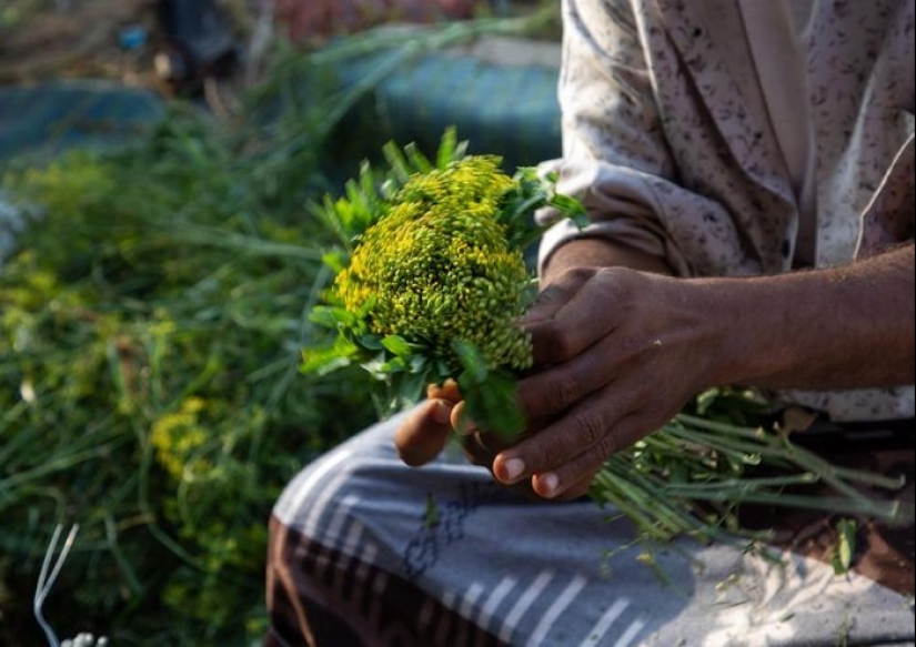 Flowers are not just for girls, or Why real Arabs wear wreaths