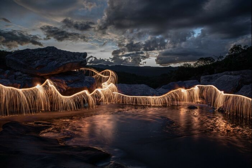 Fotógrafo capturó 8 encantadoras imágenes de árboles llenos de destellos de luz