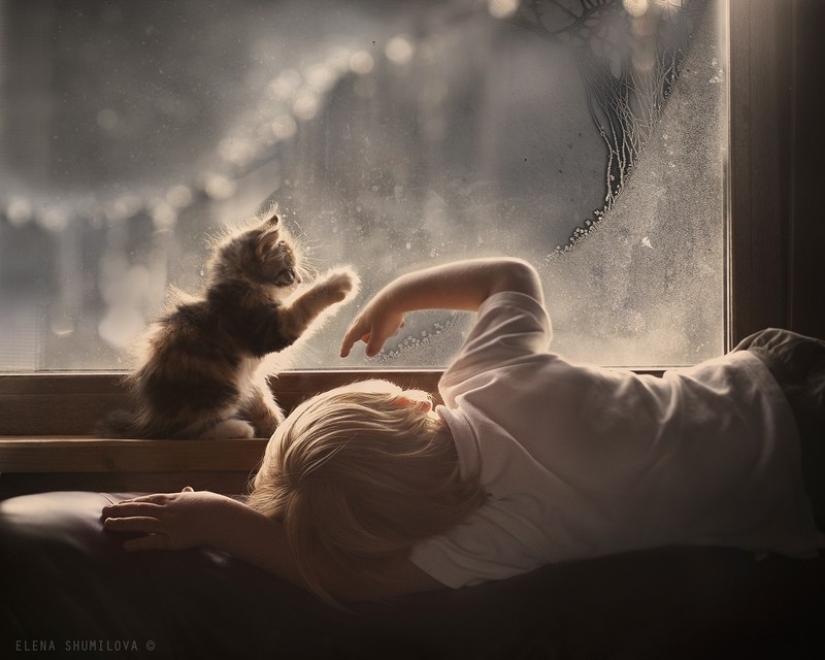Fotos encantadoras que demuestran que su hijo necesita un gato