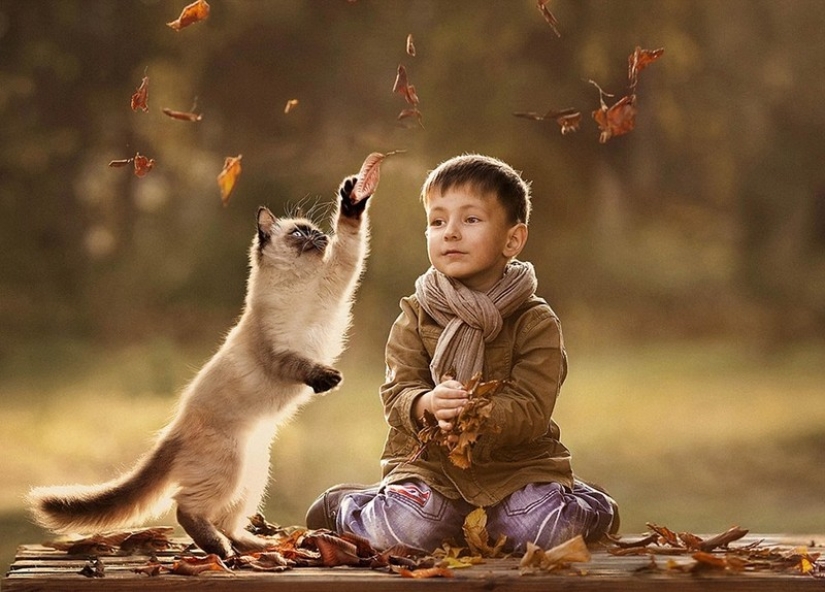 Fotos encantadoras que demuestran que su hijo necesita un gato