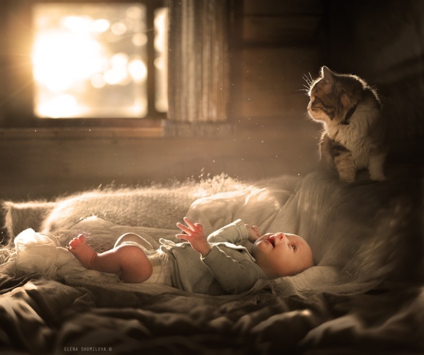 Fotos encantadoras que demuestran que su hijo necesita un gato