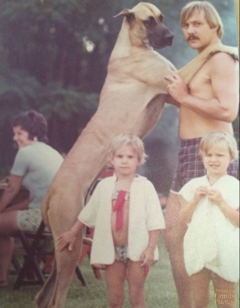 Fotos familiares muy extrañas con mascotas Fotos familiares muy extrañas con mascotas