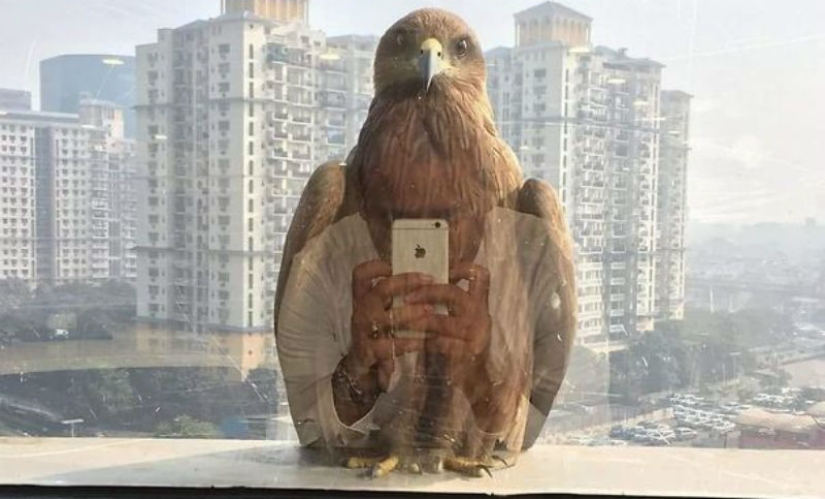Fotos tomadas en el momento adecuado