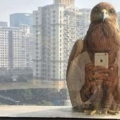 Fotos tomadas en el momento adecuado