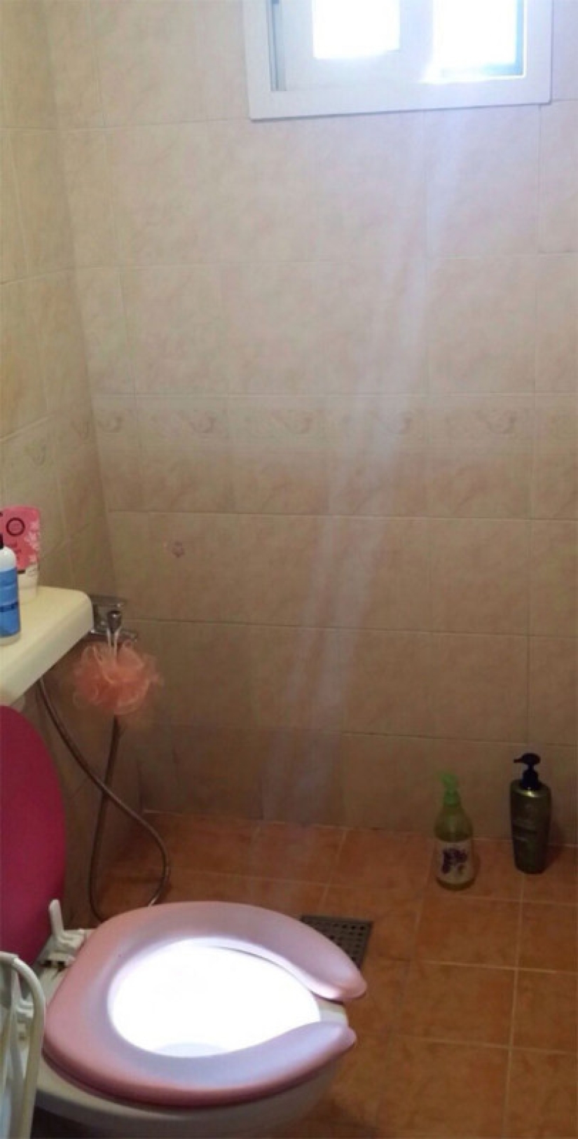 Fotos tomadas en el momento adecuado