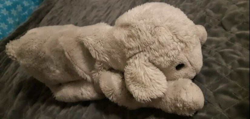 From glasses to boot the father: netizens showed their family heirlooms