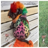 From pug to tiger: a hairdresser from Atlanta transforms pets beyond recognition From pug to tiger: a hairdresser from Atlanta transforms pets beyond recognition