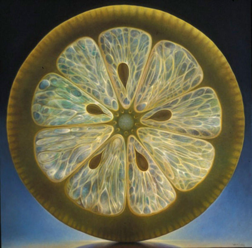 Frutas transparentes de Dennis Wojtkiewicz