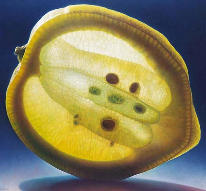 Frutas transparentes de Dennis Wojtkiewicz
