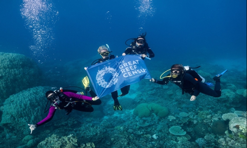 Full Recovery For A Lifeless Coral Reef Within 4 Years, Study Finds Full Recovery For A Lifeless Coral Reef Within 4 Years, Study Finds