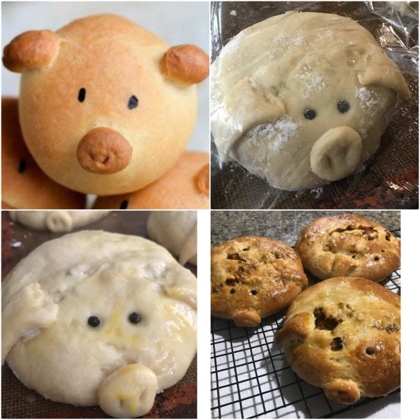 Funny pictures of kitchen experiments, ended in failure Funny pictures of kitchen experiments, ended in failure