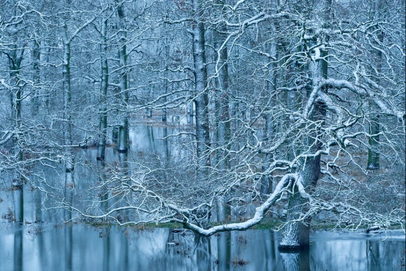 GDT 2024 Photography Winners Unveil Nature’s Beauty