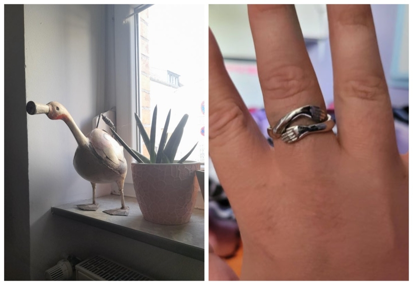 "Give me two!" 22 strange and cool things that make you want to possess them "Give me two!" 22 strange and cool things that make you want to possess them