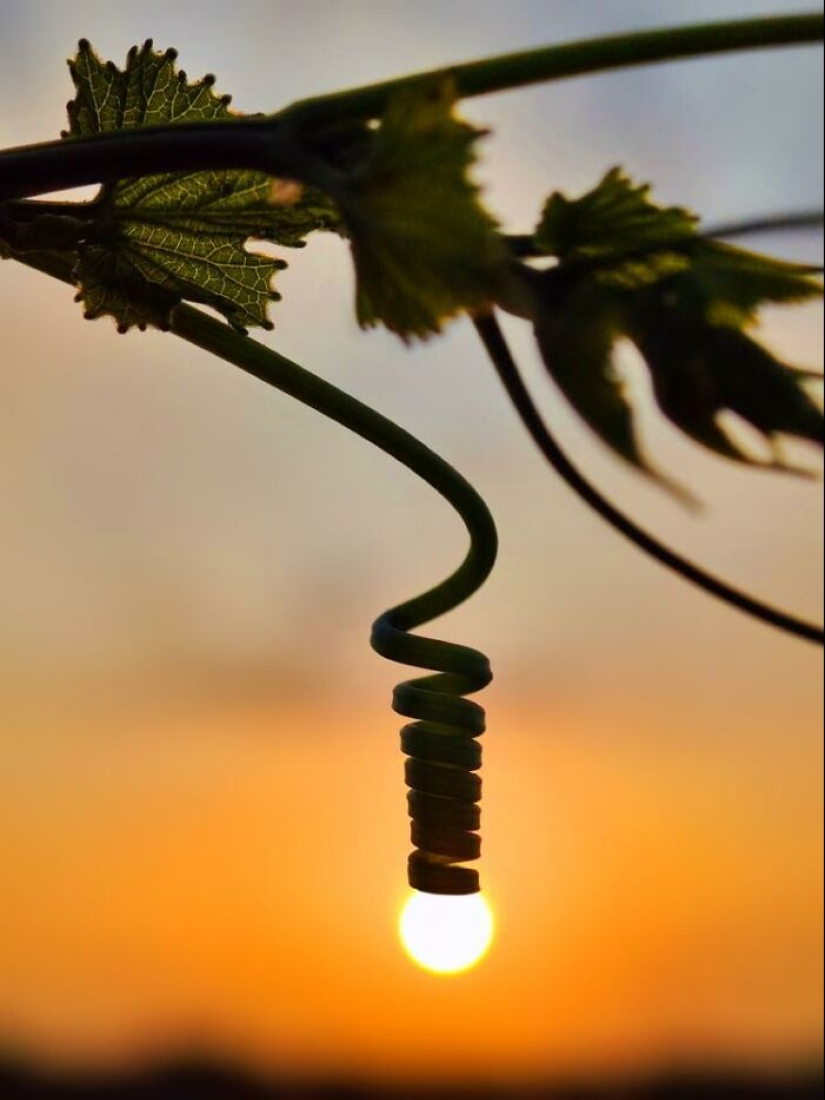 Golden Hour Gems: Aaditya Bhat’s Stunning Sunset Photo Stories
