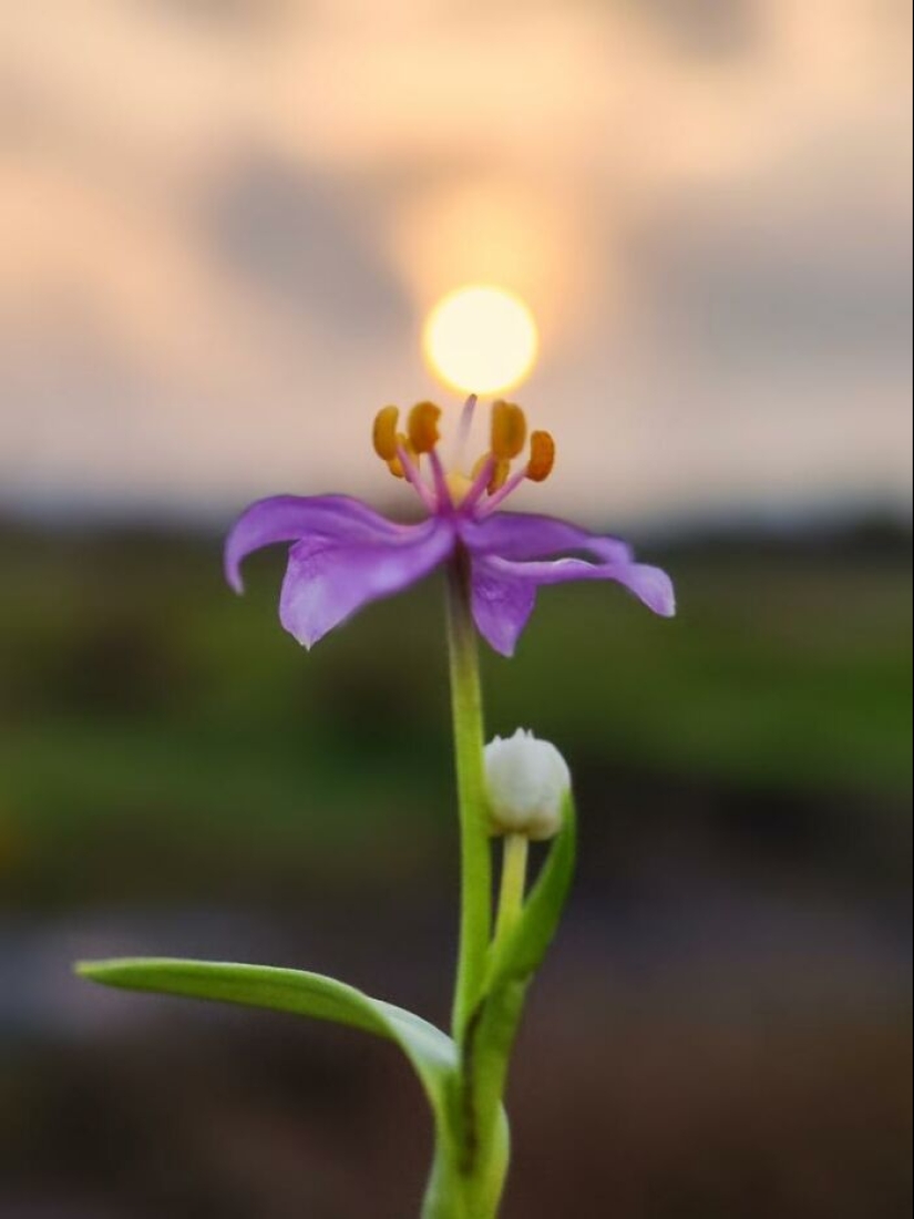 Golden Hour Gems: Aaditya Bhat’s Stunning Sunset Photo Stories