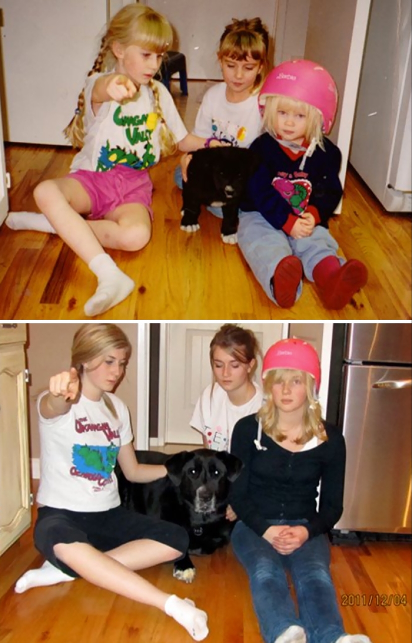 Grown up together: Dogs and their owners at the beginning of friendship and after many years