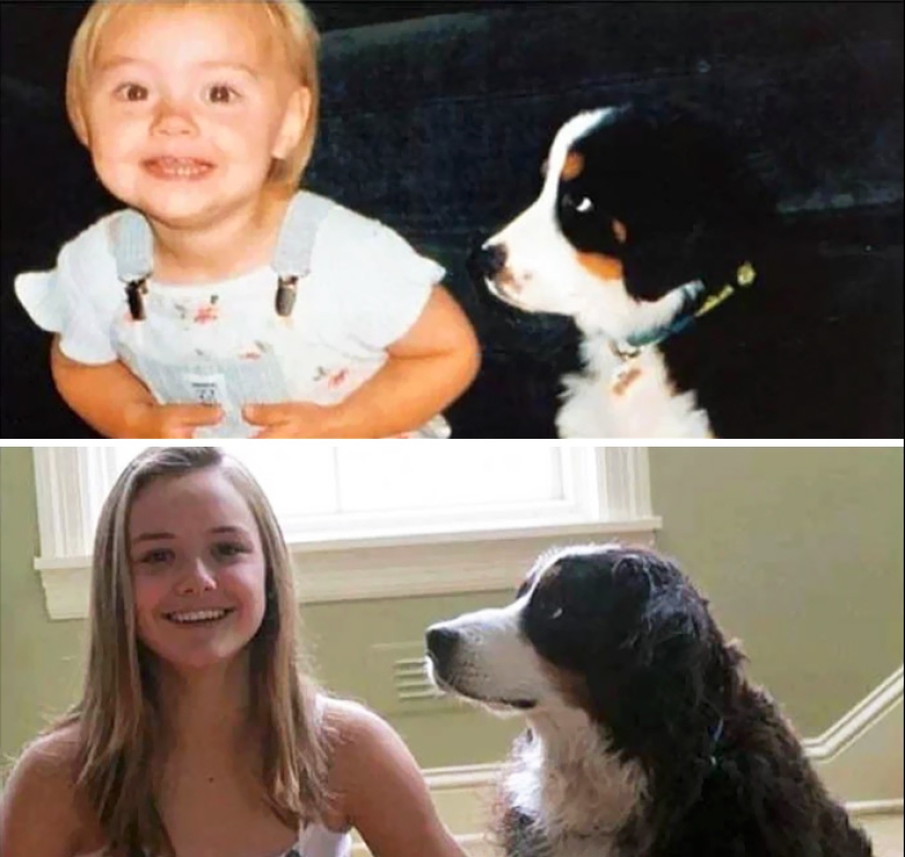 Grown up together: Dogs and their owners at the beginning of friendship and after many years