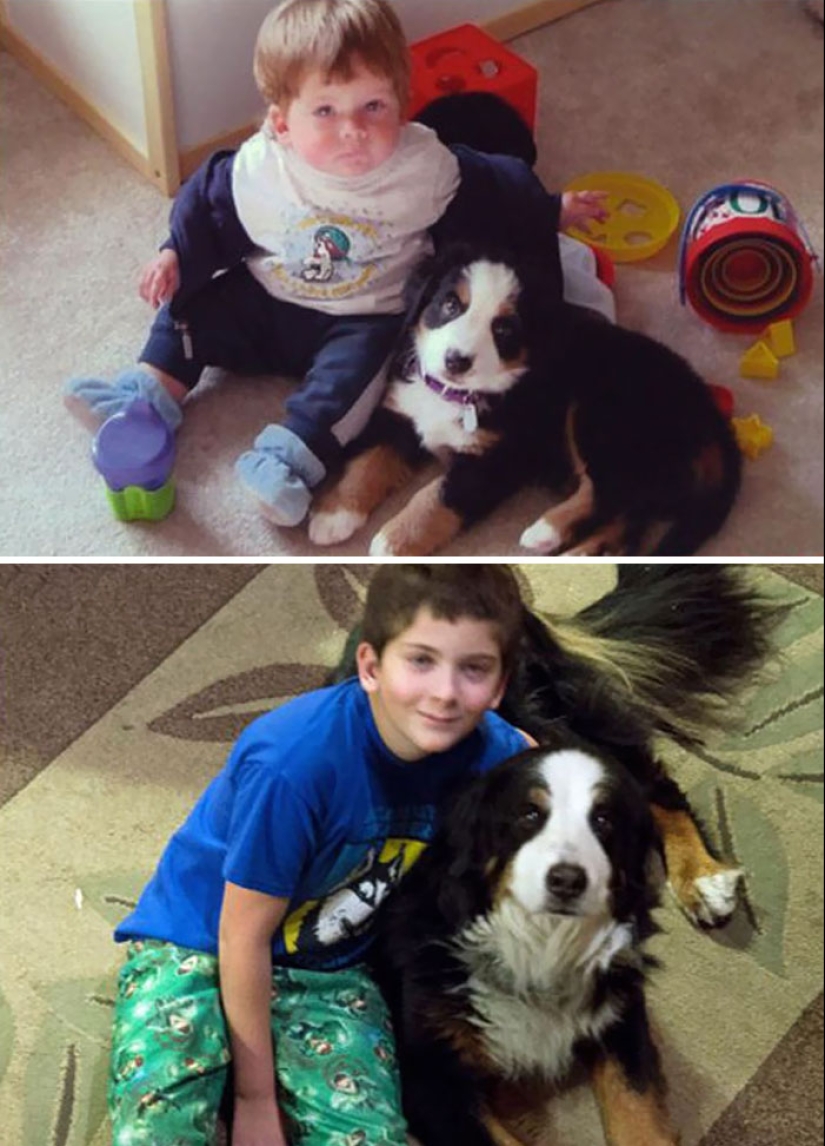 Grown up together: Dogs and their owners at the beginning of friendship and after many years