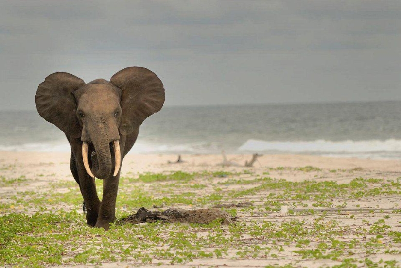 Gulpiyuri and 15 of the most unusual beaches of the world