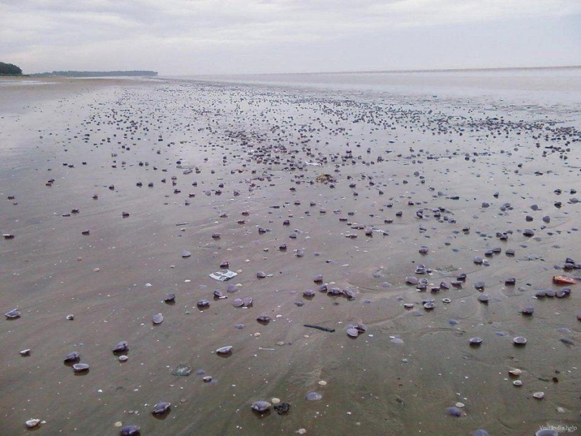 Gulpiyuri y 15 de la más inusual de las playas de el mundo