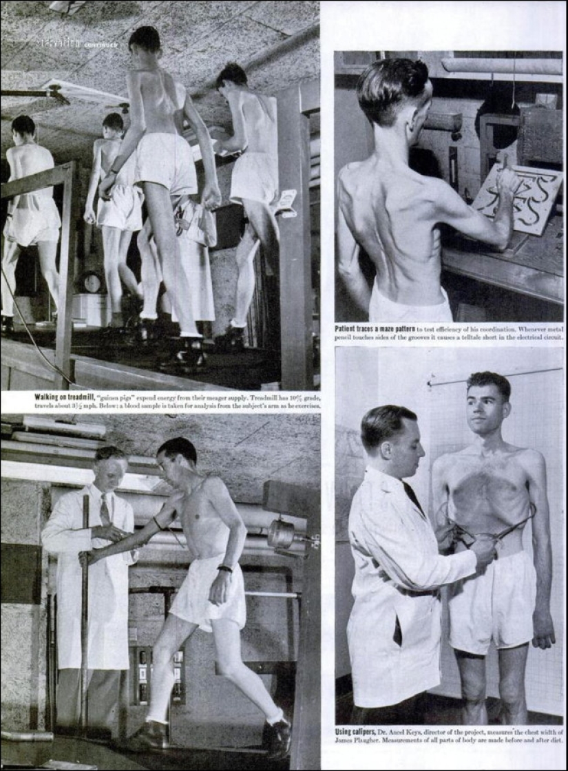Hambre voluntaria: cómo terminó el Experimento de Minnesota de 1944 Hambre voluntaria: cómo terminó el Experimento de Minnesota de 1944