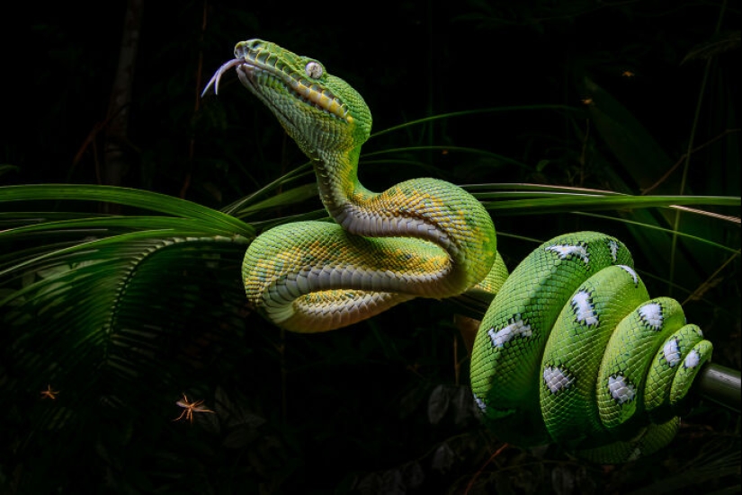 Here Are The Winners Of The Close-Up Photographer Of The Year Awards Here Are The Winners Of The Close-Up Photographer Of The Year Awards