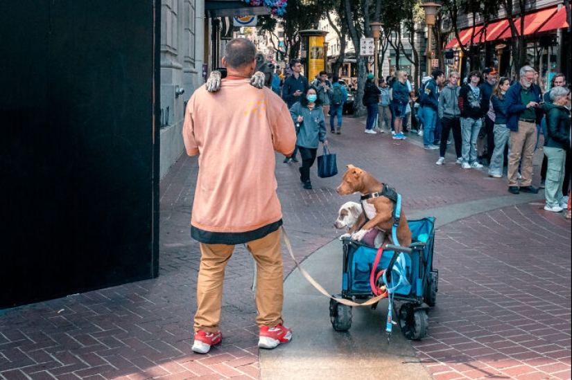 Hilarious Street Shots: “Life Is But A Dream” By Eric Davidove