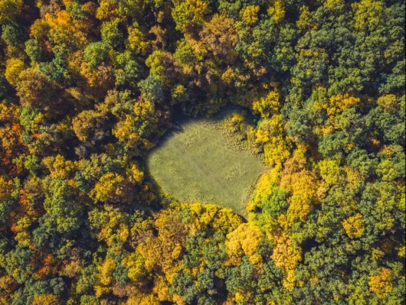 Hoia-Baciu Forest: Why This Place Has a Reputation as the “Romanian Bermuda Triangle” Hoia-Baciu Forest: Why This Place Has a Reputation as the “Romanian Bermuda Triangle”