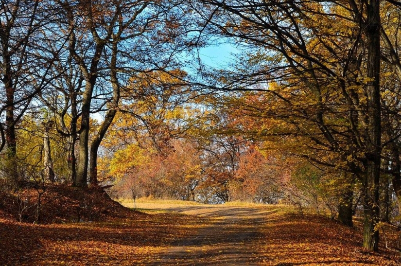 Hoia-Baciu Forest: Why This Place Has a Reputation as the “Romanian Bermuda Triangle” Hoia-Baciu Forest: Why This Place Has a Reputation as the “Romanian Bermuda Triangle”