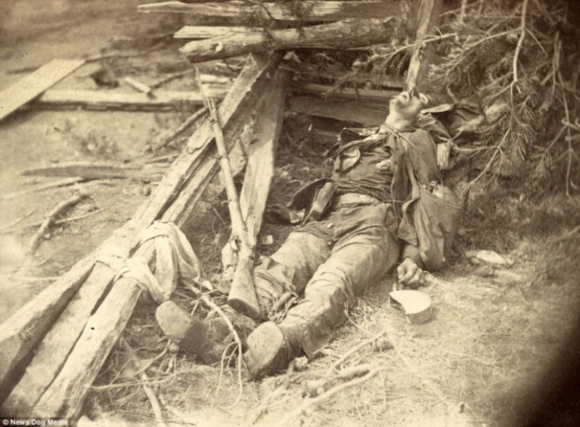 Horribles fotos de víctimas de la guerra más sangrienta de la historia de Estados Unidos Horribles fotos de víctimas de la guerra más sangrienta de la historia de Estados Unidos