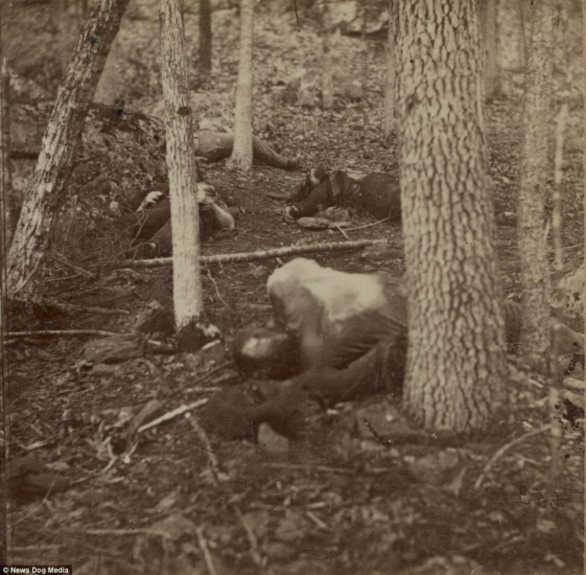 Horribles fotos de víctimas de la guerra más sangrienta de la historia de Estados Unidos Horribles fotos de víctimas de la guerra más sangrienta de la historia de Estados Unidos