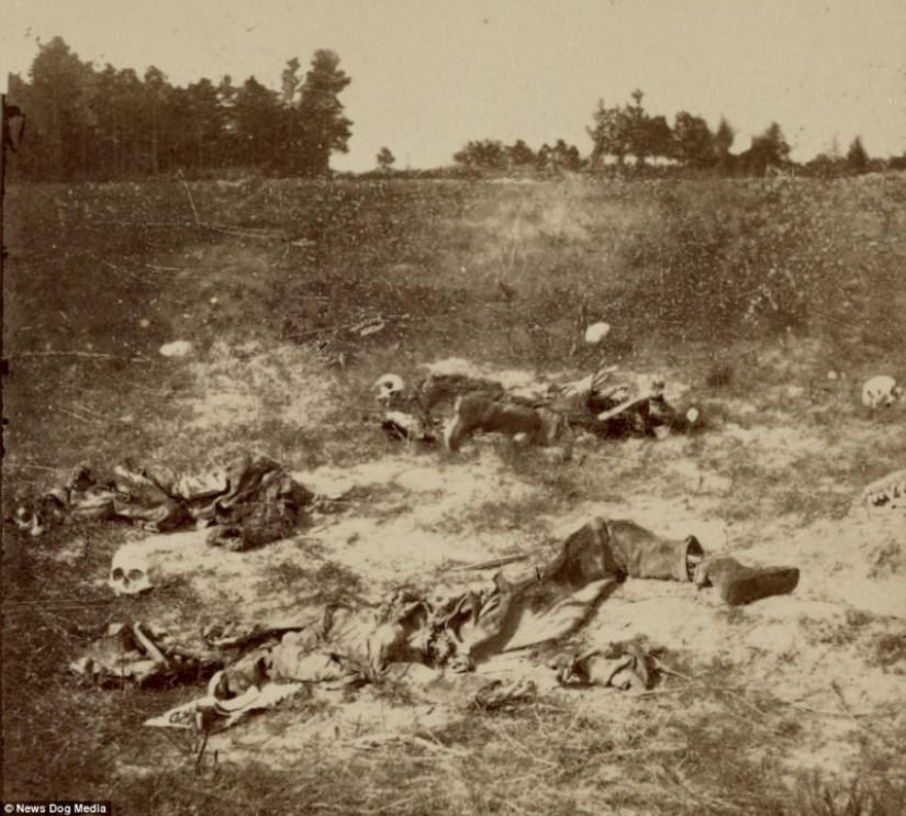 Horribles fotos de víctimas de la guerra más sangrienta de la historia de Estados Unidos Horribles fotos de víctimas de la guerra más sangrienta de la historia de Estados Unidos