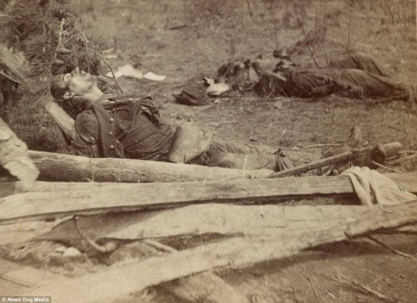 Horribles fotos de víctimas de la guerra más sangrienta de la historia de Estados Unidos Horribles fotos de víctimas de la guerra más sangrienta de la historia de Estados Unidos