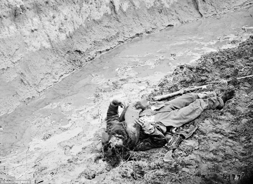Horribles fotos de víctimas de la guerra más sangrienta de la historia de Estados Unidos Horribles fotos de víctimas de la guerra más sangrienta de la historia de Estados Unidos